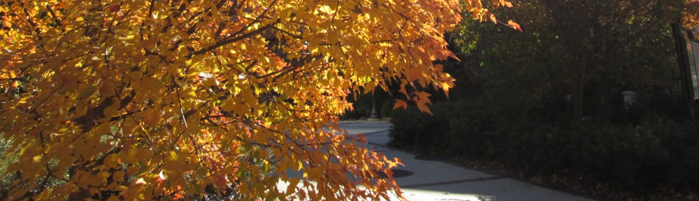 JC Reilly:  Poeta Venum