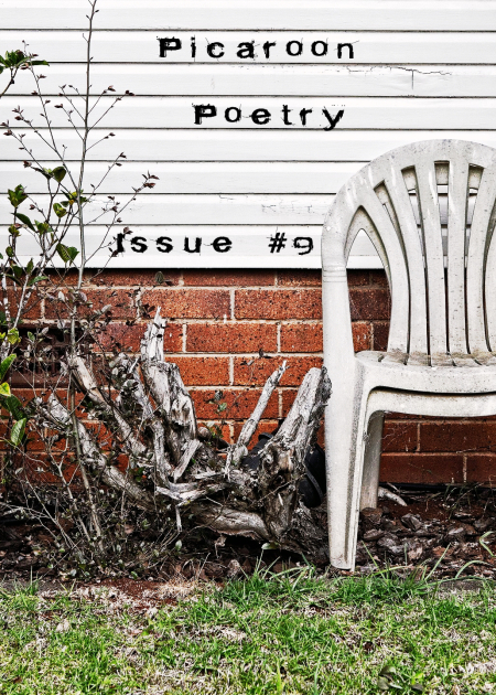 picaroon-poetry-issue-9