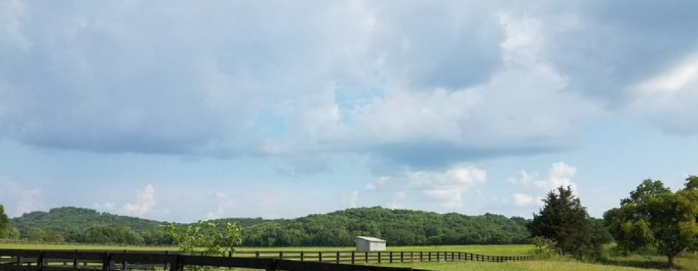 JC Reilly:  Poeta Venum