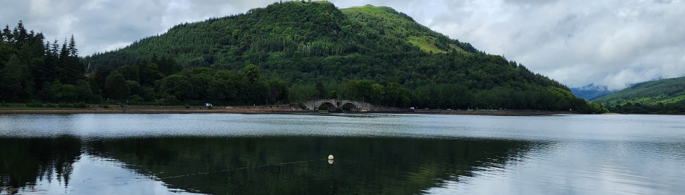 JC Reilly:  Poeta Venum