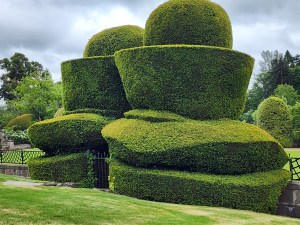 Large abstract topiaries at Castle Crathes