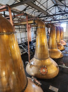 Large, shiny coper stills at Cardhu distillery, Scotland