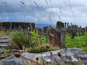 A picture of Pennygown graveyard through tall grasses