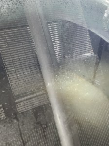 A very unclear image of fermentation in a whisky washback