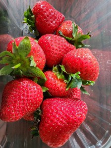 A pint of bright red strawberries